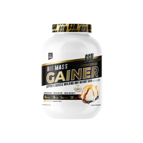 GSN BIG MASS GAINER 3KG